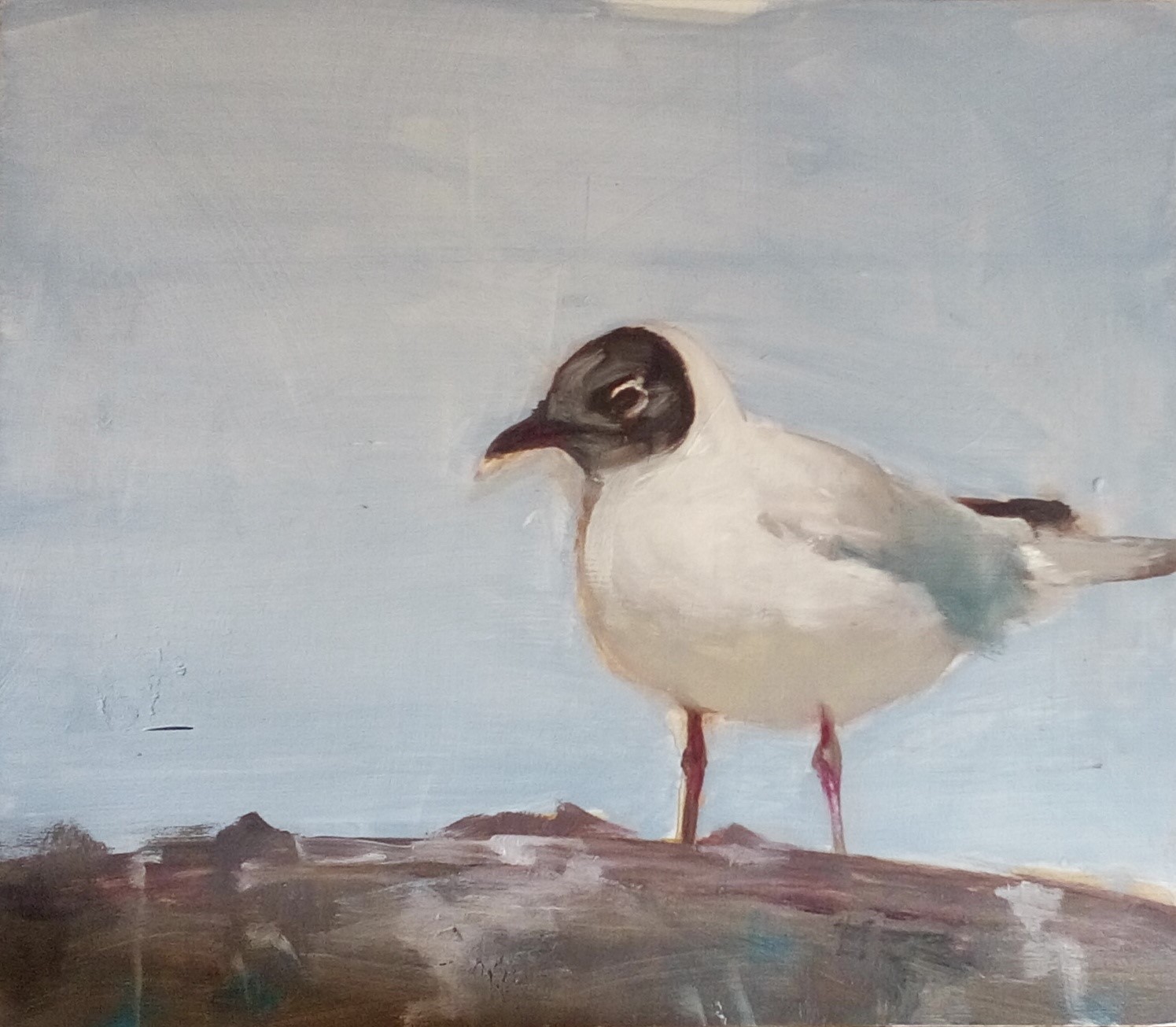 Möwe - Stadtansichten von Clemens Groth, 2017, Öl auf Holz, 45x52cm